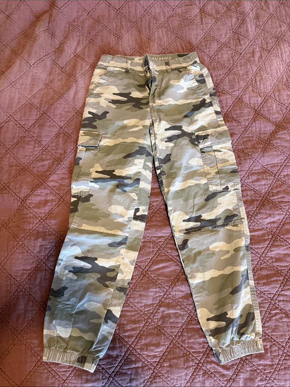 American Eagle Outfitters Camo Cargo Jogger Pants in Green and Tan